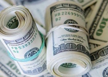 Türk Lirası’nın 1 yıl sonra dolar karşısındaki değeri ne olacak?