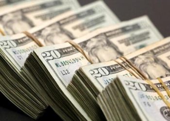 Gelişmekte olan ülkeler 310 milyar dolar yatırım çekti