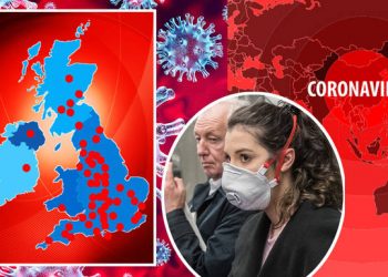 İngiltere’de 250 bin kişilik gönüllü ordusu