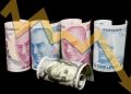 Türk Lirası yükseliş ve düşüş arasında dalgalanıyor