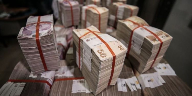 Maliye Bakanlığı 100 milyon TL borçlanıyor