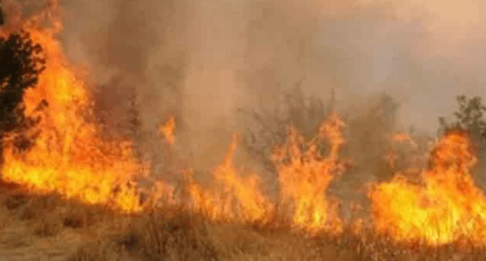 Aplıç Sınır Kapısı’nın güney doğu kısmındaki yangın büyüyor