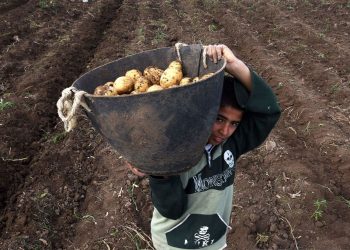 Kırmızıköyler’de “insan ticareti ve köle işçi çetesi” olduğu iddia ediliyor