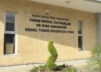Vergisiz akaryakıt desteği Perşembe günü ödeniyor