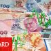Türkiye’nin bütçe açığı artıyor, 8 aylık açık 110,9 milyar TL’ye ulaştı