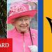Ada ülkesi Barbados, Kraliçe II. Elizabeth’den ayrılıp tam bağımsızlık istiyor