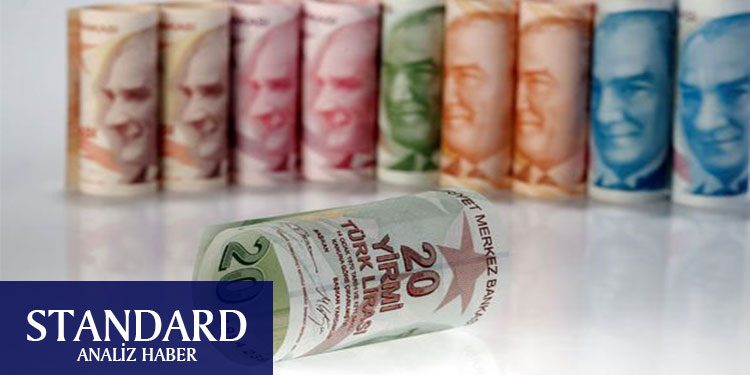 Türk Lirası kritik haftada düşüşe geçti