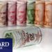 TL, dolar ve Euro önünde artışta