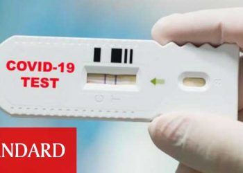 Hollandalı havayolu şirketleri hızlı Covid-19 testleri ile uçmaya hazırlanıyor