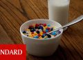İnsan 1 yılda ne kadar plastik yiyor?
