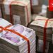 Para arzı 11’nci ayda 45 milyar TL’yi aştı