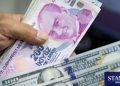 Türk Lirası son iş gününde baskıyı kırma çabasında