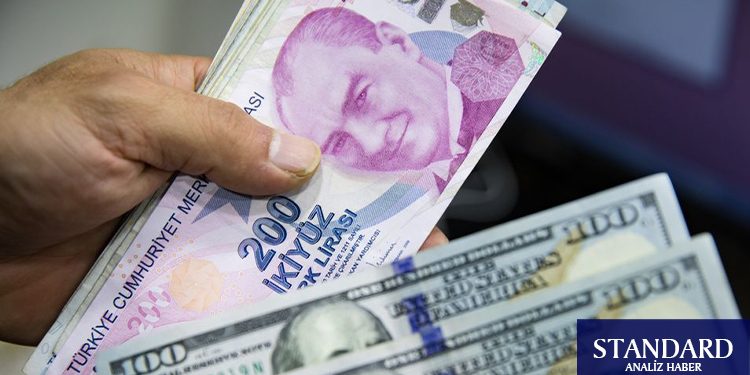 Türk Lirası son iş gününde baskıyı kırma çabasında