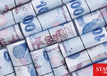 Para arzı 2020 yılını 45,2 milyar TL’de tamamladı