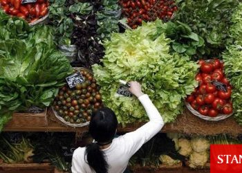 Küresel gıda fiyatları 11 aydır aralıksız yükseliyor