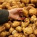 TÜK, sofralık patates alımına başlıyor