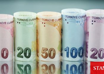 Türk Lirası’nın yönünü belirleyecek kritik hafta