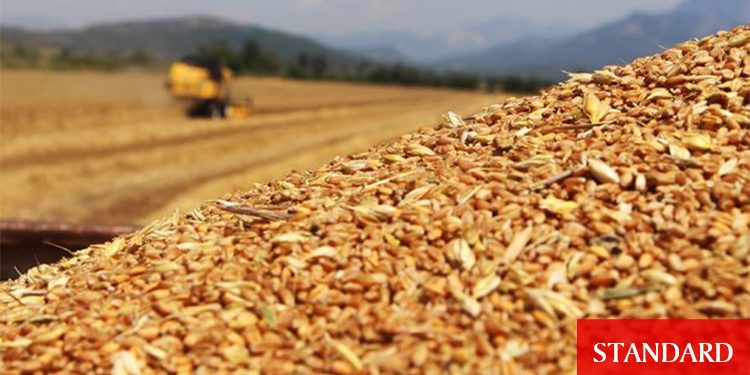 FAO’ya göre küresel gıda ithalat maliyetleri bu yıl rekor kıracak