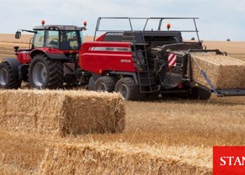 Saman Türkiye’nin Bitcoin’i gibi oldu