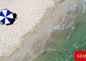 KITOB ve KITSAB: Türkiye’de aşı olanlar serbestçe gelsin