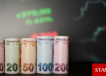 Türk Lirası, temmuzda yıldızı parlayan EM parası oldu