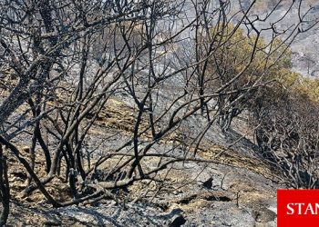 Güney’deki yangın kısmen kontrol altında