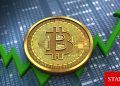 Borsalardaki Bitcoin balina oranları yükseliyor