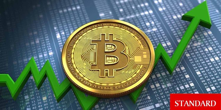 Borsalardaki Bitcoin balina oranları yükseliyor