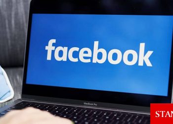 Facebook ikinci çeyrekte gelirini ve kârını artırdı