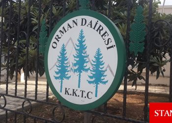 ‘Yüksek yangın riski’ nedeniyle ormanlara girişler yasaklandı