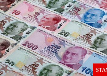 TL’nin reel değeri en düşük seviyeyi gördü