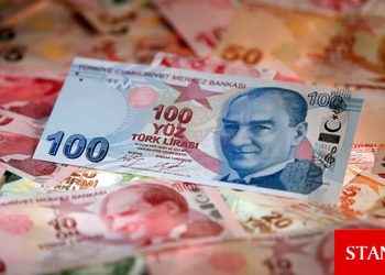 Türk lirası enflasyon sonrası kazançlarını sildi