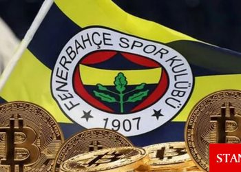 Fenerbahçe token için Paribu ile anlaştı