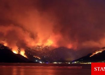 Türkiye’deki orman yangınlarında son durum