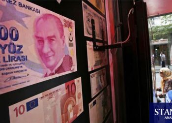 “Ucuz” dövize hücum Türk Lirası’nı düşürdü