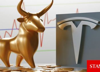 Tesla boğası hisse satışlarına devam ediyor