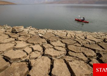 Chatham’dan endişe veren gıda kıtlığı raporu