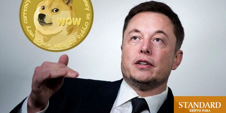Elon Musk kripto varlıklarını açıkladı: DOGE %8 yükseldi