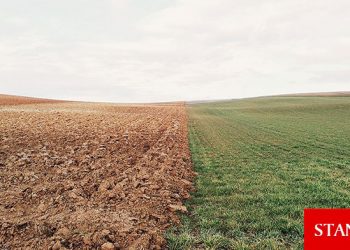 Türkiye’nin iklim politikasında yeni bir dönem başlıyor