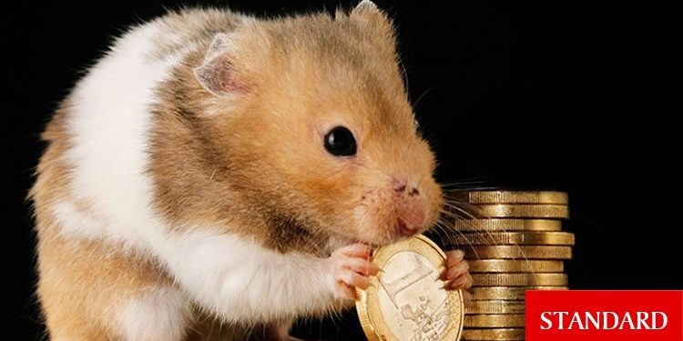 Hamster Coin nedir, nasıl alınır?