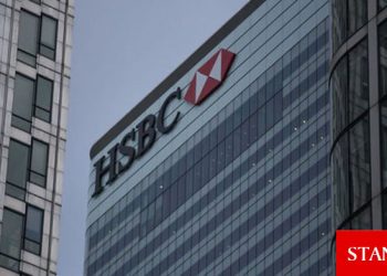 HSBC dolar/TL tahminini yükseltti