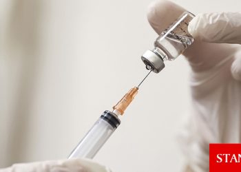 İsviçre’de ‘aşı sertifikası zorunluluğu’ referanduma gidiyor