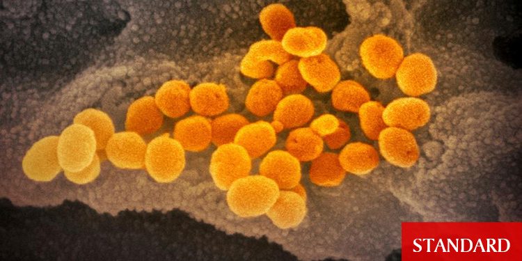 Dünyada Omicron endişesi giderek büyüyor