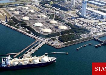 Güney’de doğal gazla elektrik üretimi 2023’te başlayacak