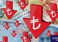 Türk Lirası çok derin bir boşluğa yuvarlandı