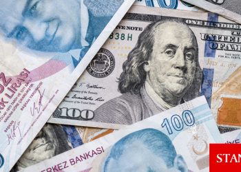 Dolar/TL 13’ü de aştı
