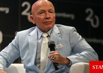 Duayen yatırımcı Mobius TL’deki düşüşü değerlendirdi