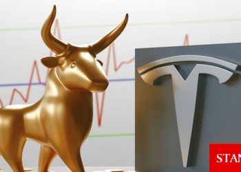 2008 krizini tahmin eden Burry, Tesla’ya yenildi