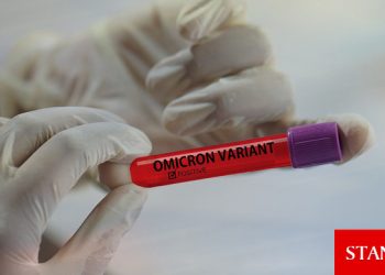 Omicron Hollanda’da baskın varyant haline geldi