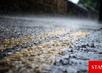 Pazartesiye kadar her gün yağmur bekleniyor!